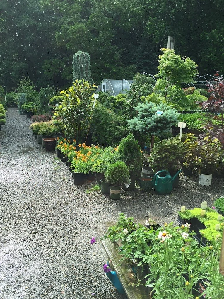 Gallery — Grass Root Garden Company